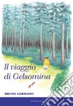 Il viaggio di Gelsomina libro