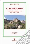 Basilicata tra presente e futuro. Analisi degli itinerari di sviluppo nella programmazione economica regionale libro di Fierro Gaetano