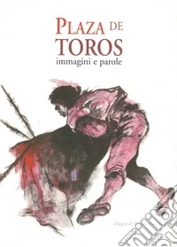 Plaza de Toros libro