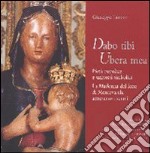 Dabo tibi ubera mea. Pietà popolare e universi simbolici. La Madonna del latte libro