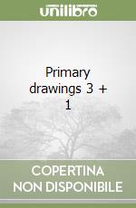 Primary drawings 3 + 1