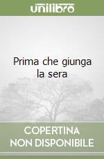 Prima che giunga la sera libro