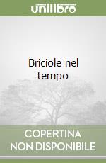 Briciole nel tempo libro