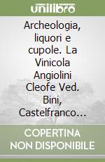 Archeologia, liquori e cupole. La Vinicola Angiolini Cleofe Ved. Bini, Castelfranco Emilia libro