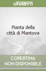 Pianta della città di Mantova libro