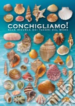 Conchigliamo! Alla ricerca dei tesori del mare. Ediz. illustrata libro