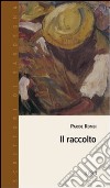 Il raccolto libro di Rombi Paride