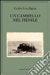 Un cammello nel fienile libro di Graffigna Carlo