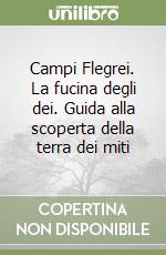 Campi Flegrei. La fucina degli dei. Guida alla scoperta della terra dei miti libro