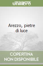Arezzo, pietre di luce libro