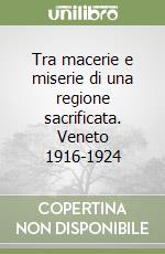 Tra macerie e miserie di una regione sacrificata. Veneto 1916-1924 libro