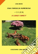 Una famiglia numerosa. Ediz. italiana, cinese e inglese libro