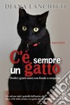 C'è sempre un gatto. Dodici gatti unici con finale a sorpresa libro