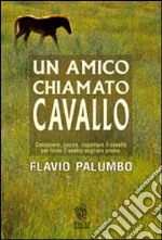 Un amico chiamato cavallo libro