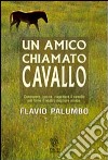 Un amico chiamato cavallo libro