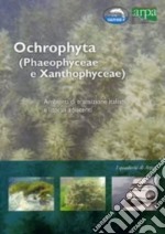 Ochrophyta (Phaeophyceae e Xanthophyceae). Ambienti di transizione e litorali adiacenti