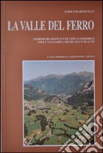 La valle del ferro. Amministrazione e sviluppo economico nella Valsassina dei secoli XVII-XVIII