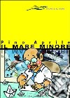 Il mare minore libro