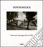 Fontanelice. Storia per immagini fino al 1945 libro