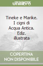 Tineke e Marike. I cigni di Acqua Antica. Ediz. illustrata libro