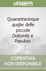 Quarantacinque guglie delle piccole Dolomiti e Pasubio libro