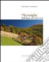 Meraviglie del bosco trentino. Ediz. illustrata libro