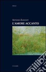 L'amore accanto libro