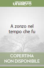 A zonzo nel tempo che fu libro