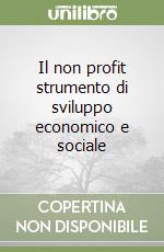 Il non profit strumento di sviluppo economico e sociale