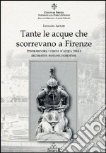 Tante le acque che scorrevano a Firenze libro