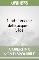 Il rabdomante delle acque di Siloe libro