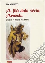 A filò dala vecia Arnèsta (puesii in dialét mantfan) libro