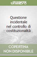 Questione incidentale nel controllo di costituzionalità libro