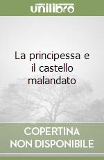 La principessa e il castello malandato libro