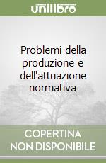 Problemi della produzione e dell'attuazione normativa libro