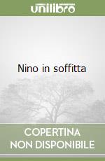 Nino in soffitta