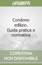 Condono edilizio. Guida pratica e normativa