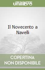 Il Novecento a Navelli libro