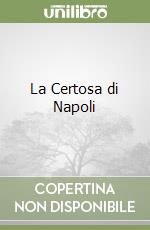 La Certosa di Napoli libro