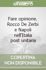 Fare opinione. Rocco De Zerbi e Napoli nell'Italia post unitaria libro