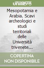 Mesopotamia e Arabia. Scavi archeologici e studi territoriali delle Università trivenete (1994-1998) libro