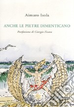 Anche le pietre dimenticano libro