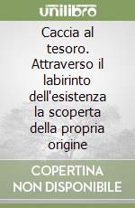 Caccia al tesoro. Attraverso il labirinto dell'esistenza la scoperta della propria origine libro