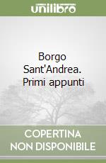 Borgo Sant'Andrea. Primi appunti