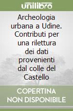 Archeologia urbana a Udine. Contributi per una rilettura dei dati provenienti dal colle del Castello libro