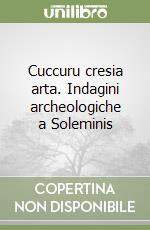 Cuccuru cresia arta. Indagini archeologiche a Soleminis