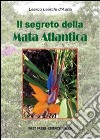 Il segreto della mata atlantica libro