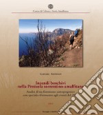 Incendi boschivi nella Penisola sorrentino-amalfitana. Analisi di un fenomeno antropogenico con speciale riferimento agli eventi del 2017 libro