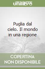 Puglia dal cielo. Il mondo in una regione libro