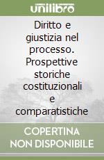 Diritto e giustizia nel processo. Prospettive storiche costituzionali e comparatistiche libro